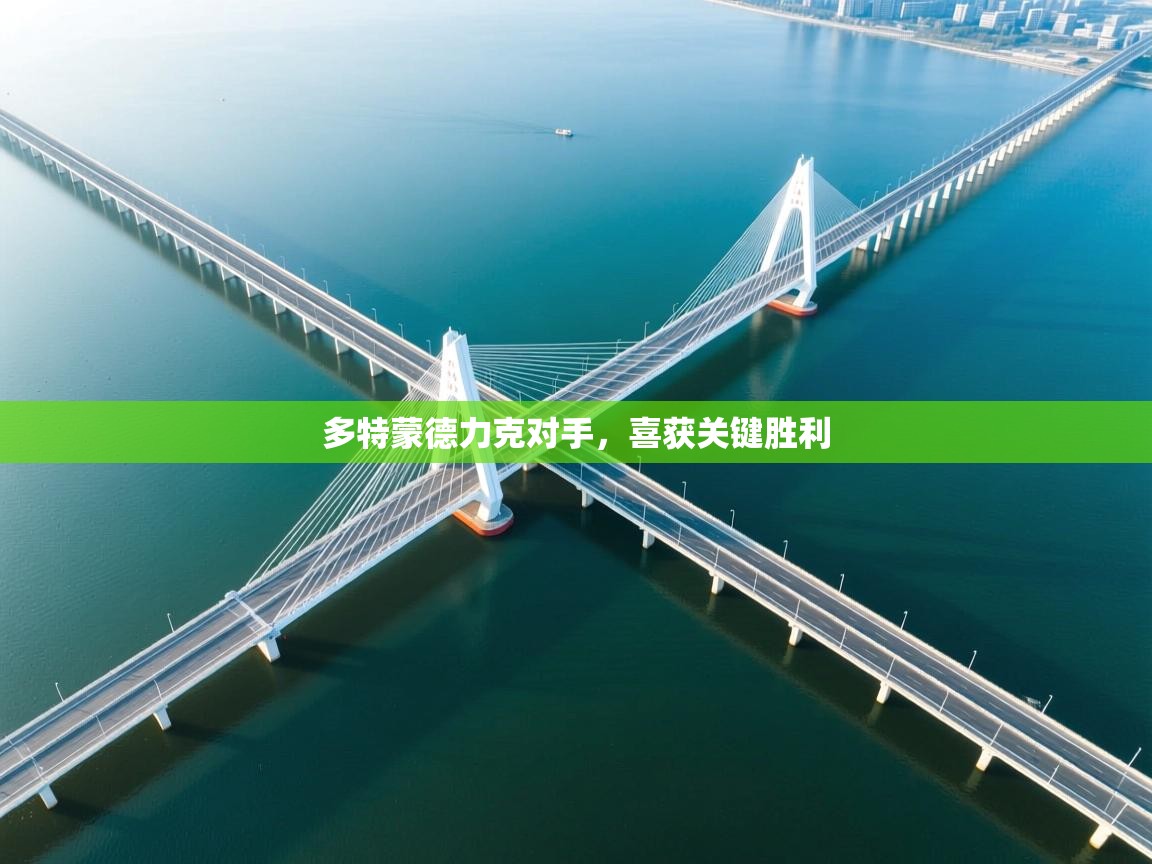 多特蒙德力克对手，喜获关键胜利  第1张